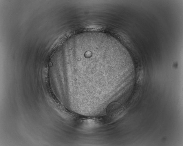 X0000116460365200912231406