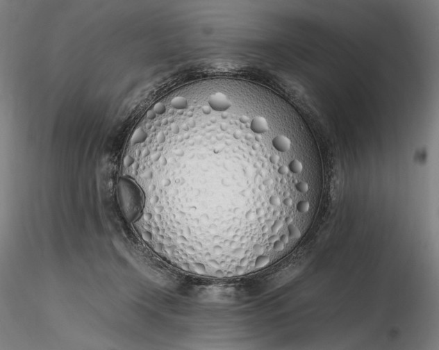 X0000116460366200912231406