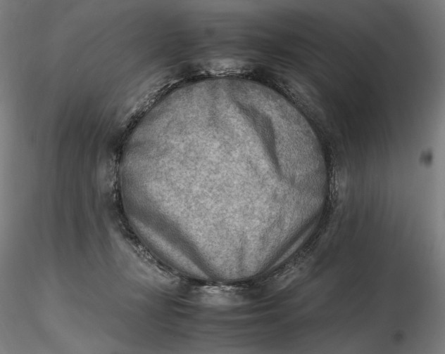 X0000116460367200912231406