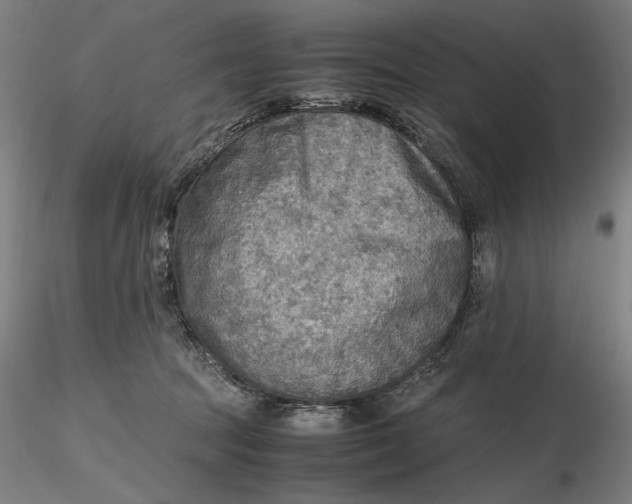 X0000116460369200912231406