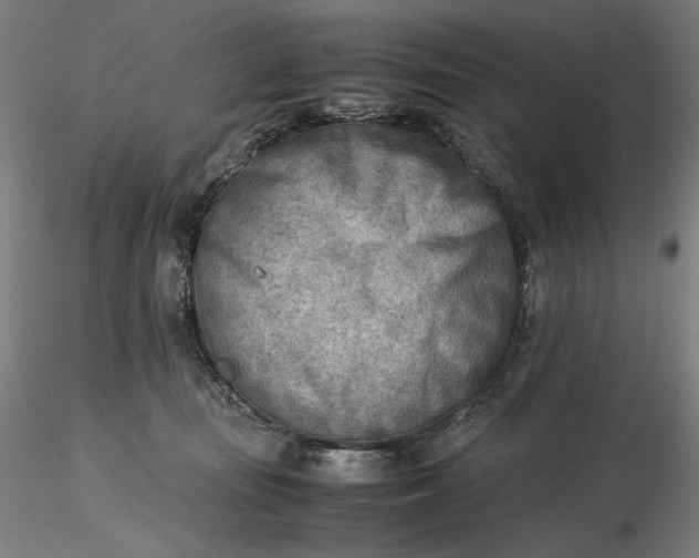 X0000116460371200912231406