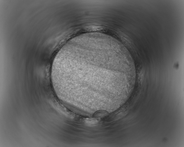 X0000116460373200912231406