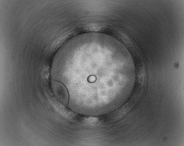 X0000116460374200912231406