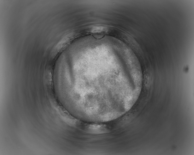 X0000116460375200912231406