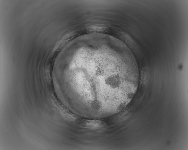 X0000116460377200912231406