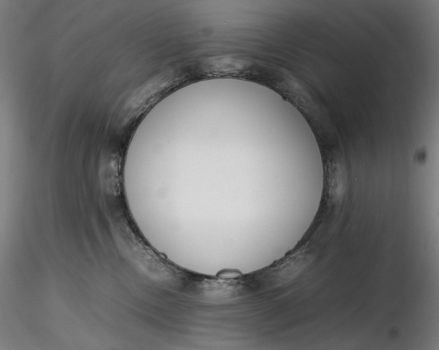 X0000116460378200912231406