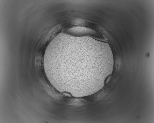 X0000116460379200912231406