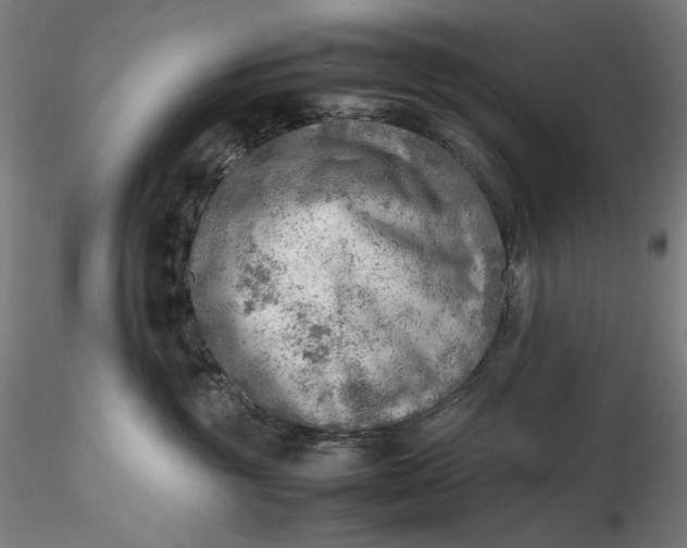 X0000116460381200912231406