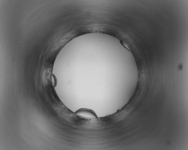 X0000116460382200912231406