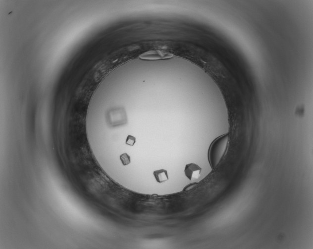 X0000116460383200912231406