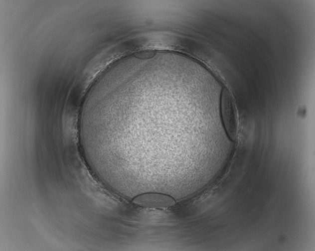 X0000116460386200912231405