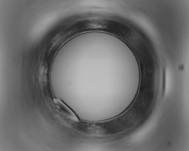 X0000116460387200912231405