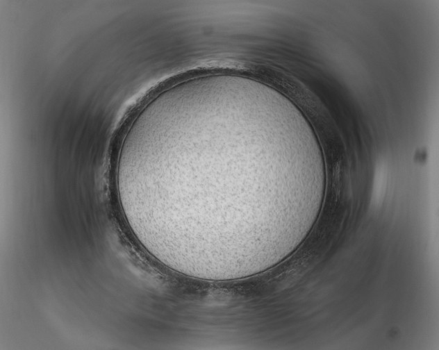 X0000116460388200912231405