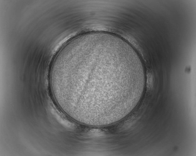 X0000116460390200912231405