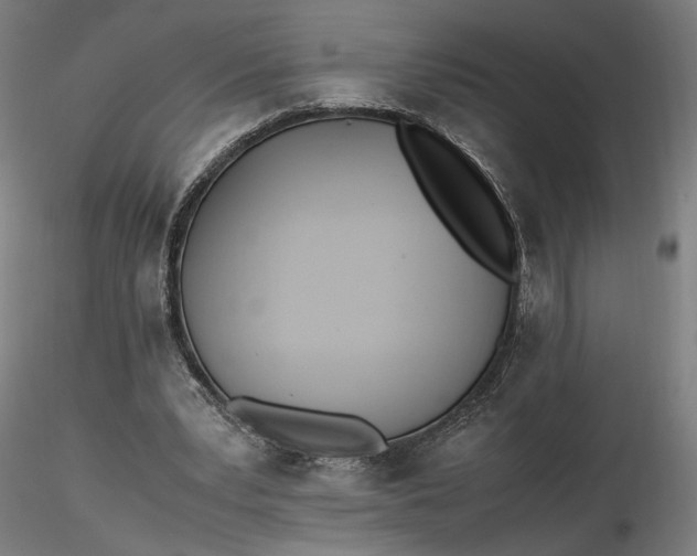 X0000116460391200912231405