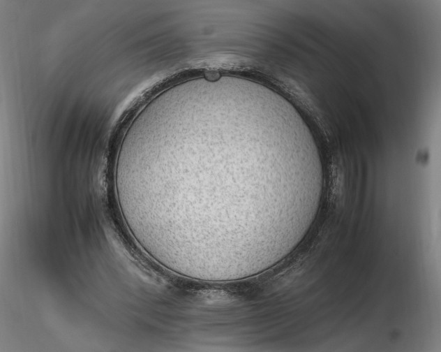 X0000116460392200912231405