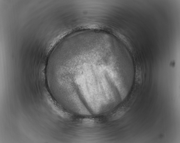 X0000116460394200912231405