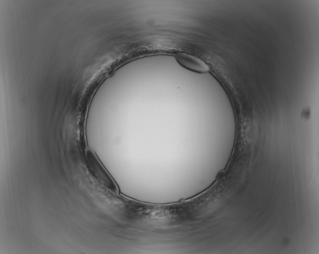 X0000116460395200912231405