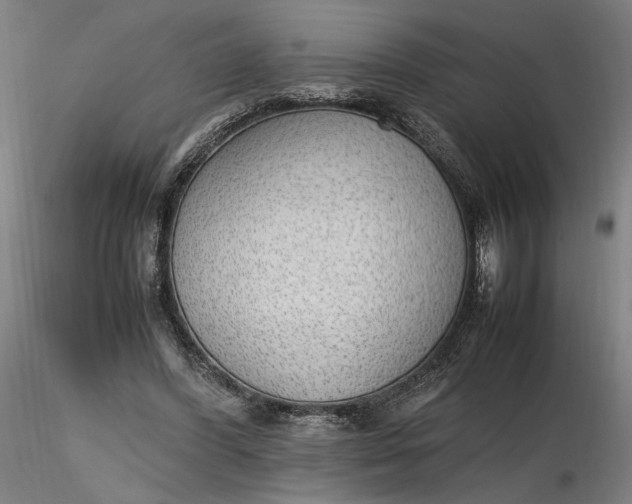 X0000116460396200912231405