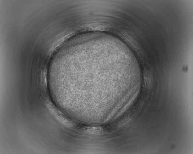 X0000116460398200912231405