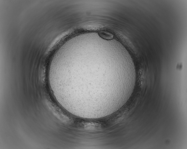 X0000116460400200912231405