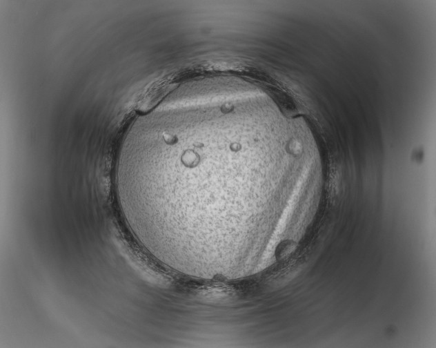 X0000116460402200912231405