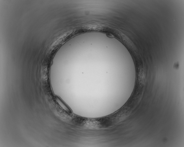 X0000116460403200912231405