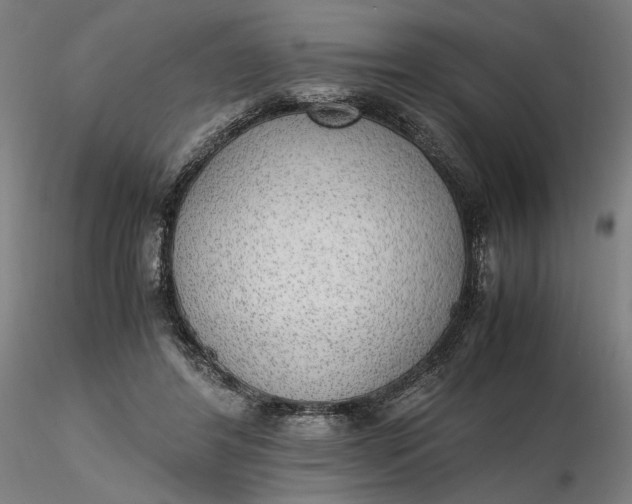 X0000116460404200912231405