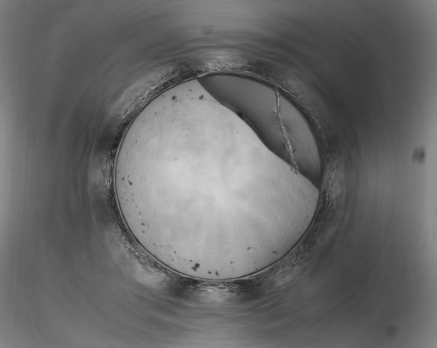 X0000116460405200912231405