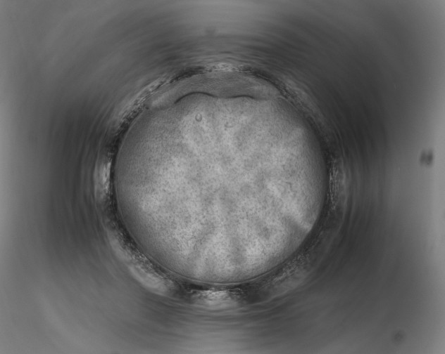 X0000116460406200912231405