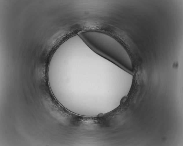 X0000116460407200912231405