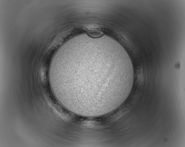 X0000116460408200912231405