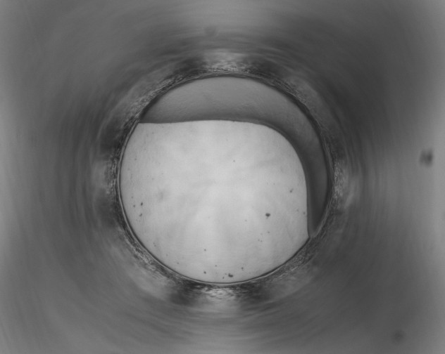 X0000116460409200912231405