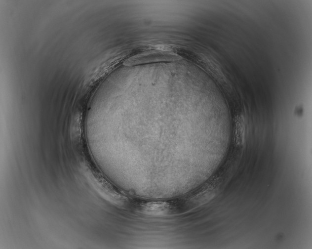 X0000116460410200912231405