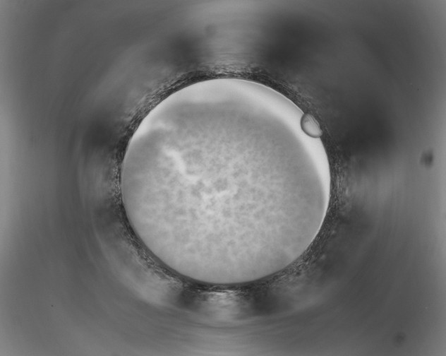 X0000116460411200912231405