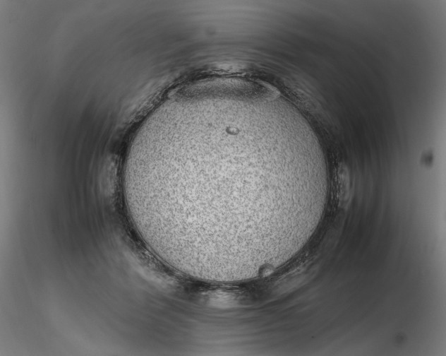 X0000116460412200912231405