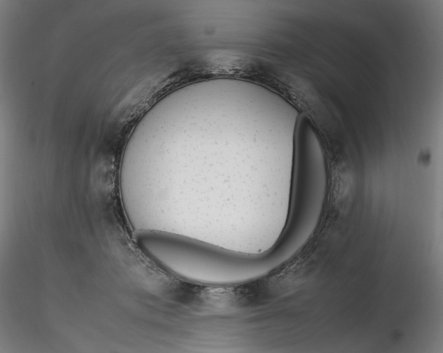 X0000116460413200912231405