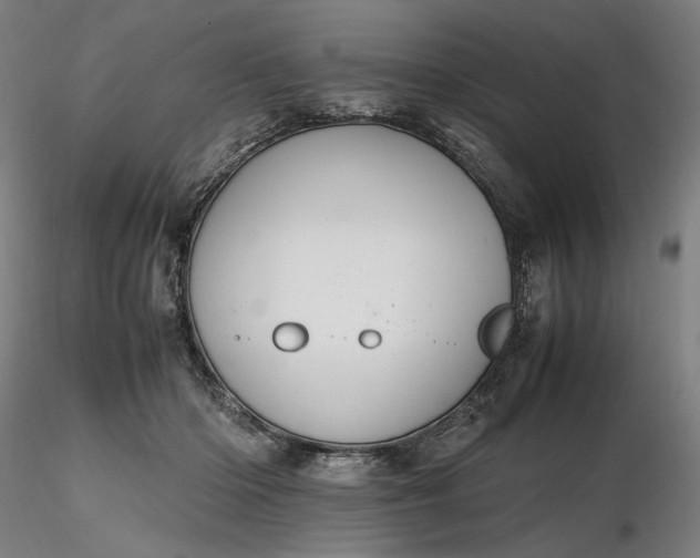 X0000116460414200912231405