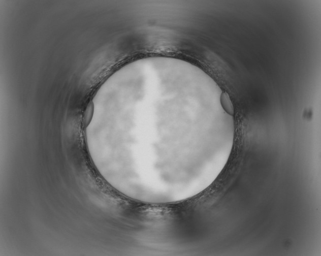 X0000116460415200912231405