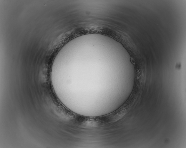 X0000116460416200912231405