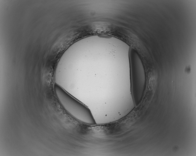 X0000116460417200912231405