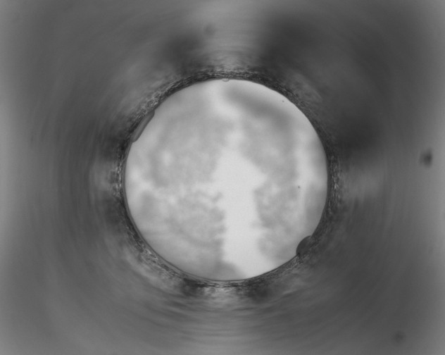 X0000116460419200912231405