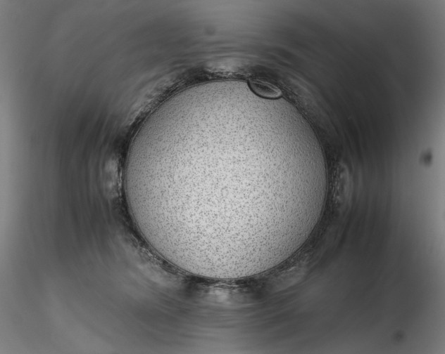 X0000116460420200912231405