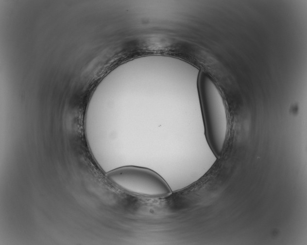 X0000116460421200912231405