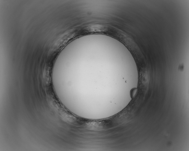 X0000116460422200912231405