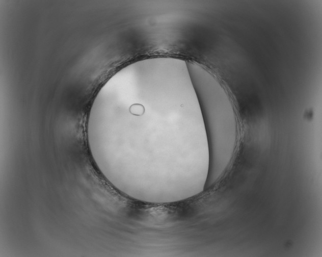 X0000116460423200912231405