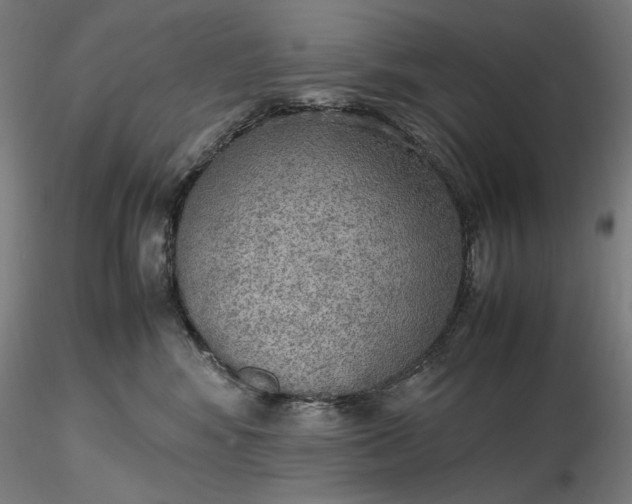 X0000116460424200912231405