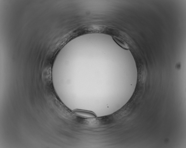 X0000116460425200912231405