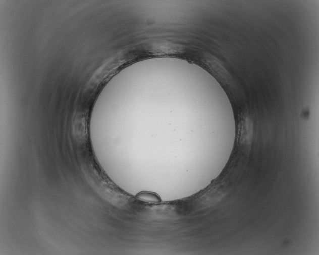 X0000116460426200912231405