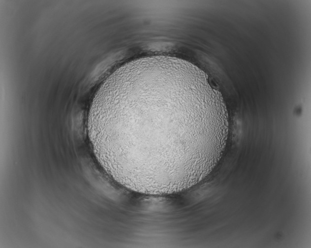 X0000116460428200912231405